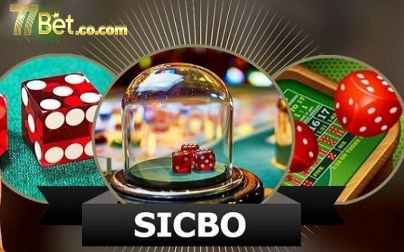 Sicbo online live trực tiếp